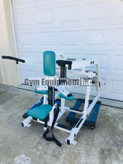 (image for) Hammer Strength Seated Dip - Click Image to Close