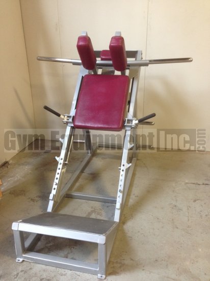 (image for) Streamline Hack Squat - Click Image to Close