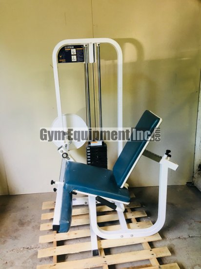 (image for) Paramount Leg Extension 0100 - Click Image to Close