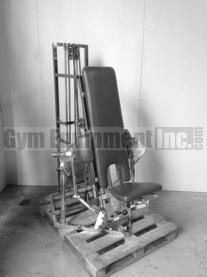 (image for) CamStar Bi/Uni-lateral Bicep Curl - Click Image to Close