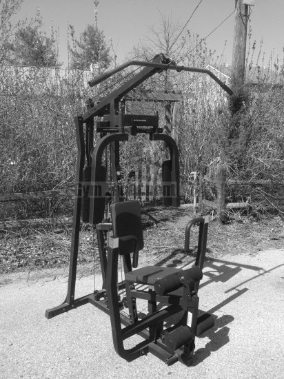 (image for) Schwinn 733s Home Gym - Click Image to Close