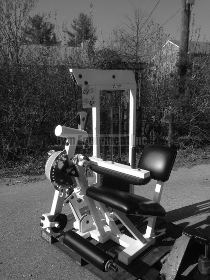 (image for) ProMAXima Leg Extension & Curl 2in1 Combo - Click Image to Close