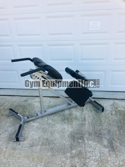 (image for) Hammer Strength Platinum Back Extension - Click Image to Close