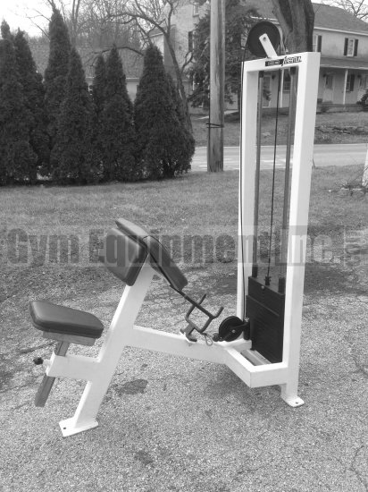 (image for) Streamline Preacher Curl/Overhead Tricep - Click Image to Close